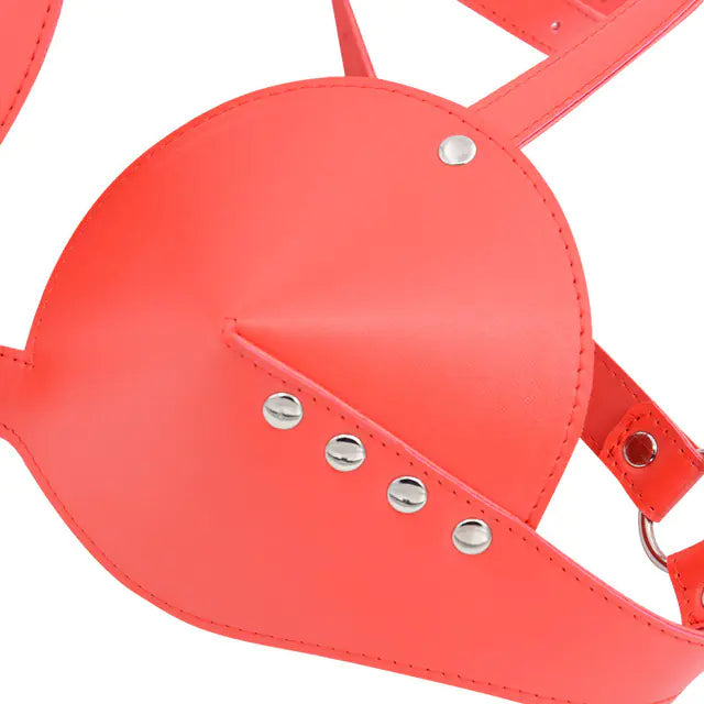 Lingerie, Leather Wear, Temptation Costumes, Performance Outfits