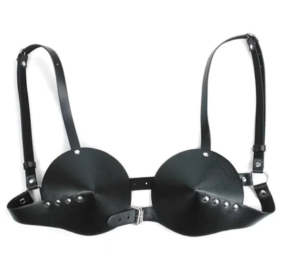 Lingerie, Leather Wear, Temptation Costumes, Performance Outfits