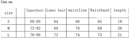 Black Mesh Embroidered Lingerie